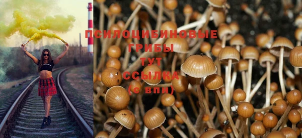 mdpv Алексин