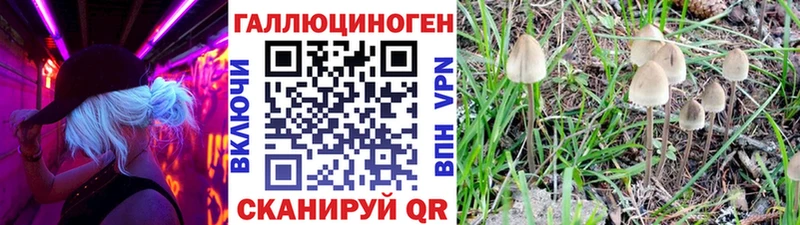 Галлюциногенные грибы Cubensis  Купить где  Ветлуга 