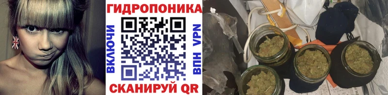 Купить где  Ветлуга  Бошки Шишки конопля 